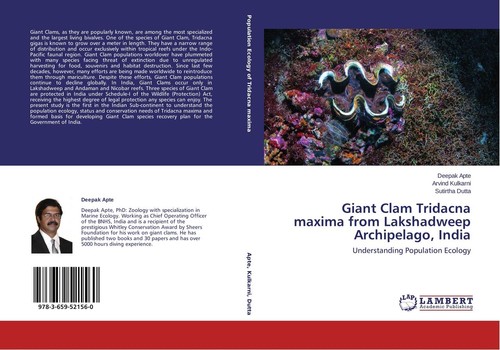 Giant clam tridacna maxima - clam,
