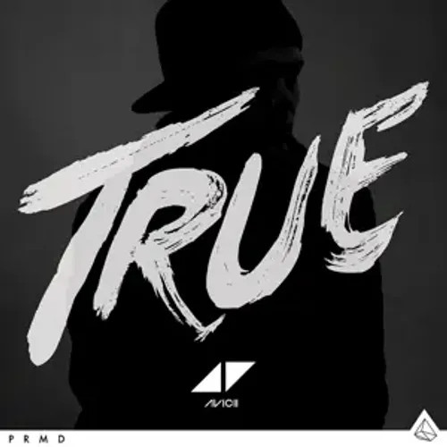 True avicii deutsch - true, |