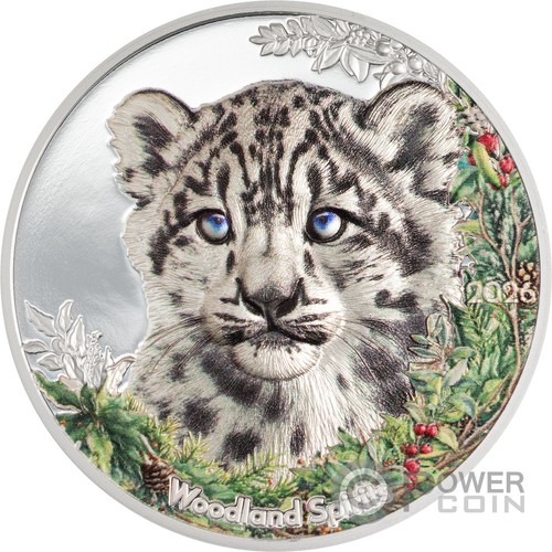 Snow leopard woodland - spirit, 1