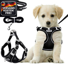 Hundegeschirr Kleine