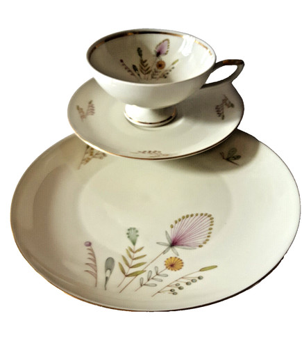 Sammler porzellan kaffe tee - sammler,