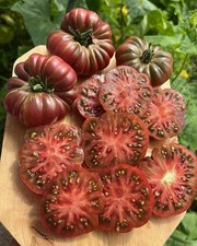 🍅10 Samen Tomate "Purple