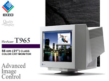 21" EIZO FlexScan T965 Trinitron CRT Röhrenmonitor SRGB/VGA RETRO-Gaming Monitor