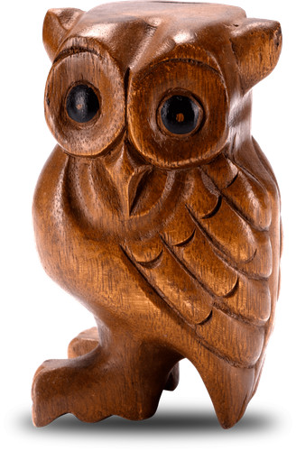 Eule flöteneule 13 cm - -,