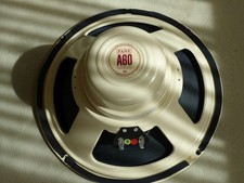 Fane Ascension A 60 Guitar
