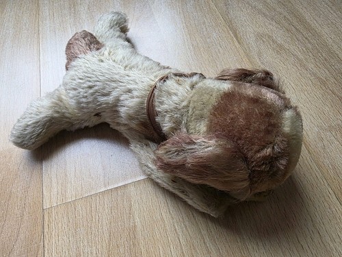 Steiff floppy cookie hund - steiff,