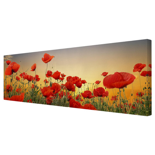 Leinwandbild mohnblumenfeld - mohnblumenfeld, i