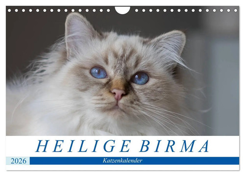 Heilige birma katzenkalender - birma,
