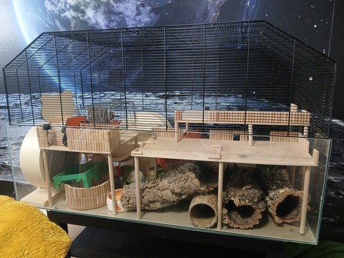 Nagarium incl ausstattung - nagarium,