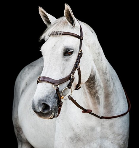 Horseware micklem - horseware,