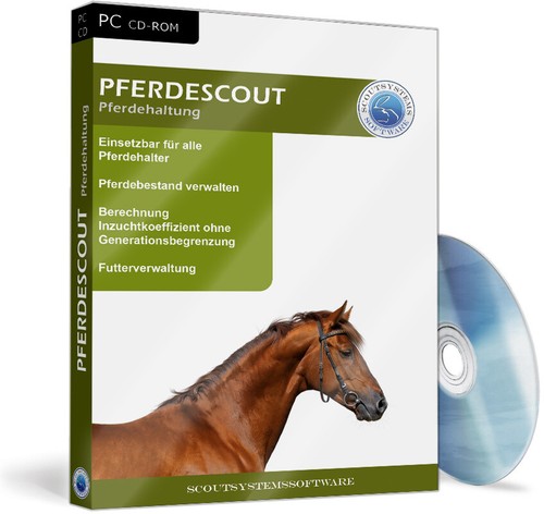 Reitpferde
