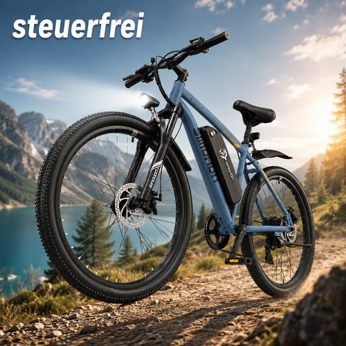 Zoll bike herren 250w - e-bike,
