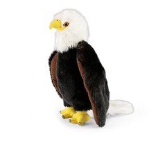 Weißkopf seeadler plüschtier - weißkopf-seeadler,