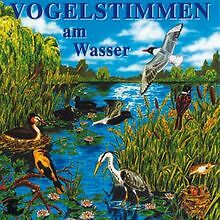 Vogelstimmen wasser 3 - vogelstimmen, am