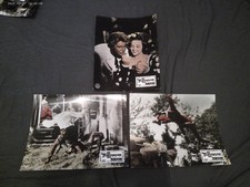 Die Teufelskerle von Dorado