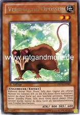 Yu-Gi-Oh 1x Verspieltes Opossum - - - DREV