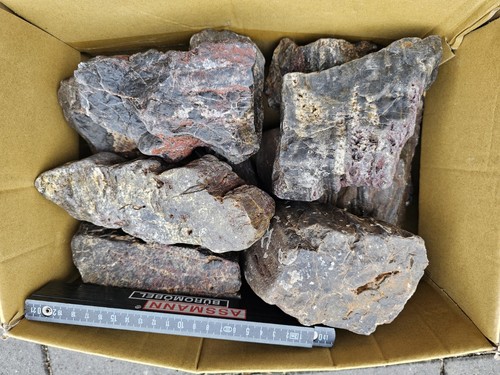 Kyffhäuser fossilien - kyffhäuser,