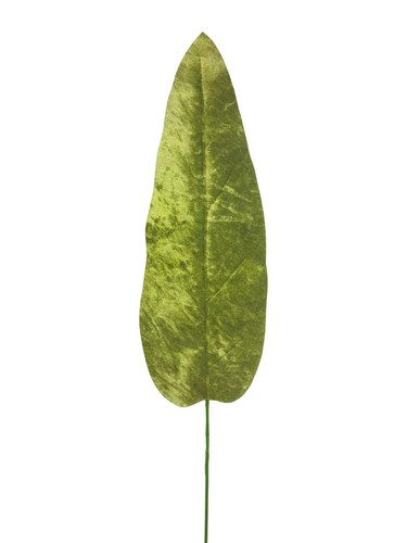 Artplants samt bananenblatt - artplants,