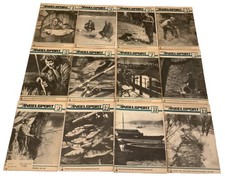 Deutscher Angelsport 12 DDR Hefte von 01/84 - 12/84 Jahrgang 1984 Vollständig!!!