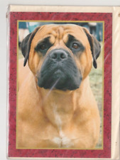 BULL MASTIFF      ****    Postkarte ***  Sawley Fine Arts