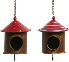 Vogelfutterstelle - ,