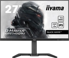 LCD Iiyama G-MASTER