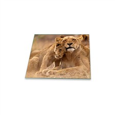 Herdabdeckplatte Ceran 1