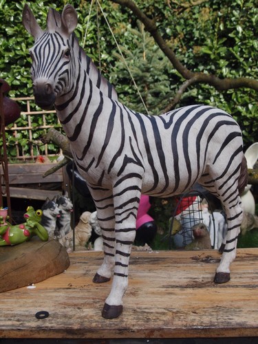 Zebra deko figur - figur, afrika