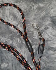 Schleppleine Hundetraining