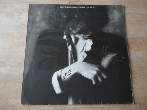 The waterboys this is - –,