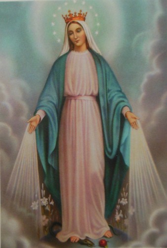 Madonna immaculata - madonna,