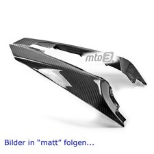Carbon Heckverkleidung für