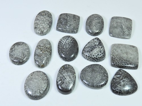260cts natürliche schwarze - natürliche,