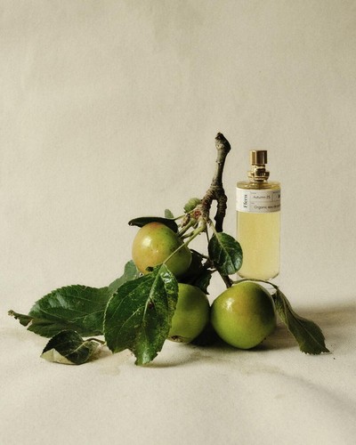 Ffern parfum autumn - autumn, herbst