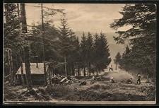 Ansichtskarte Kohlenmeiler auf dem hohen Schwarzwald, Forstwirtschaft 