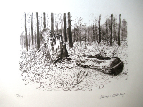 David hockney lithographie - david,