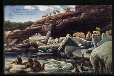 AK Hamburg-Stellingen