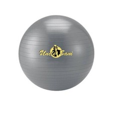 Lagerräumung: Uncle Sam Gymnastikball Ø ca. 65 cm 18755 Pilates Ball Yogaball