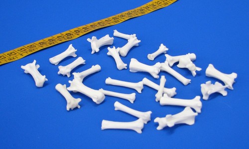25er pack schwanzwirbelknochen - pack,