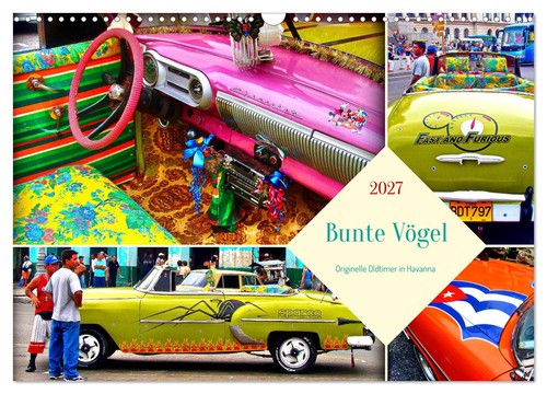 Bunte vögel originelle - bunte,