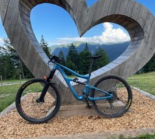 MTB Enduro Ibis Ripmo Carbon Gr.L Custom Aufbau Rahmenschutzfolie