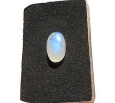 Mondstein blau - Blue Moonstone Cabochon 15x9 mm 13 ct. Nr. U33452