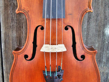 Geige bez. "C. DA SALO IN