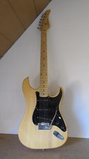 Elektrische Gitarre ST