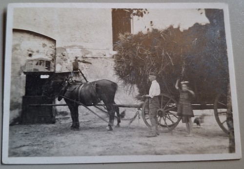 Altes foto vintage - altes,