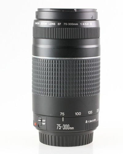 Canon zoom lens 300mm - zoom,