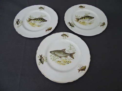 Drei fisch teller - fisch,