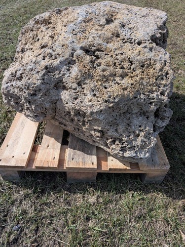Muschelkalk felsen lbh ca - (lbh,