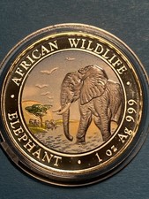 Somalia Elefant 2010 , African