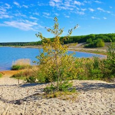 3 Tage Aktivurlaub Lausitzer Seenland | Hotelgutschein + HP für 2 Brandenburg